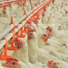 Equipo de aves de corral que bebe los pezones para el pollo de broiler